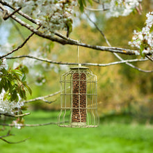 Load image into Gallery viewer, Chapelwood Original Squirrel Proof Peanut Feeder
