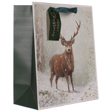 Load image into Gallery viewer, Christmas Gift Bags Range