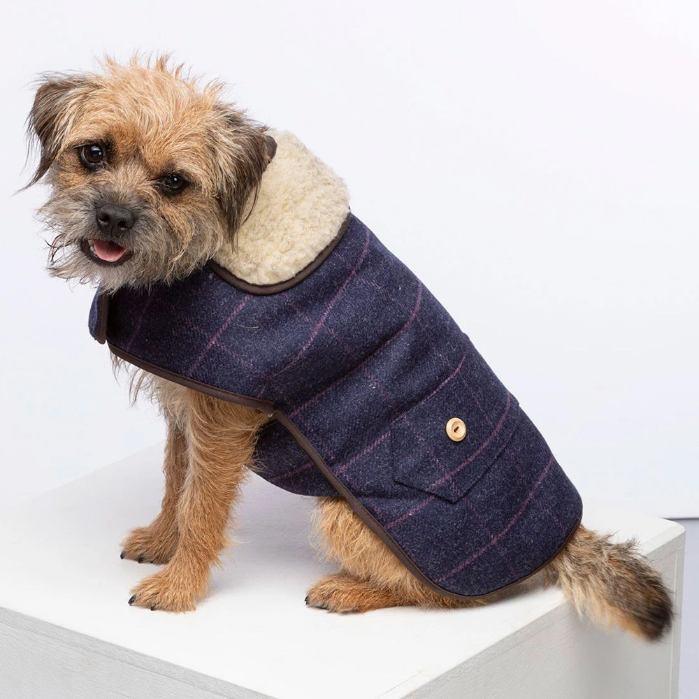Rydale Tweed Dog Coat