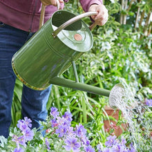 Load image into Gallery viewer, Smart Garden Galvanised Steel 9L Watering Can
