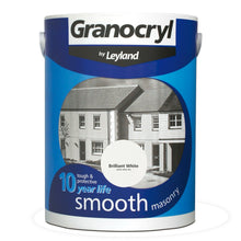 Load image into Gallery viewer, Granocryl Brilliant White Paint 5L