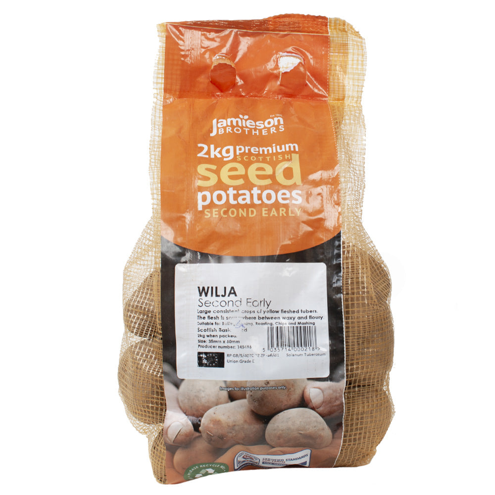 JBA Seed Potatoes Second Earlies 2kg
