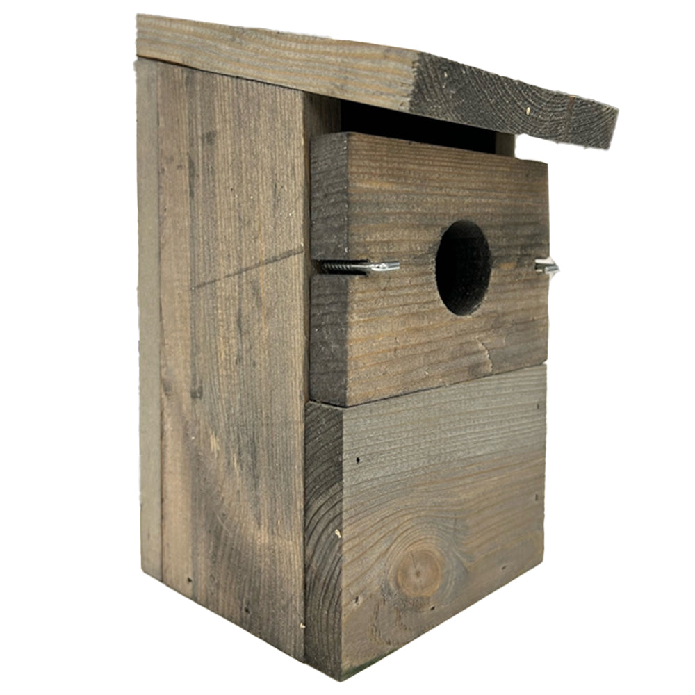 Peckish Everyday Bird Nest Box