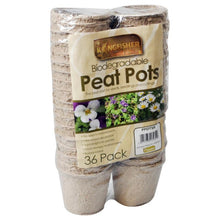 Load image into Gallery viewer, Kingfisher 36 Pack 8cm Biodegradable Round Peat Pots 
