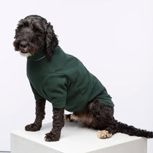 Load image into Gallery viewer, Fleece Dog Jumper
