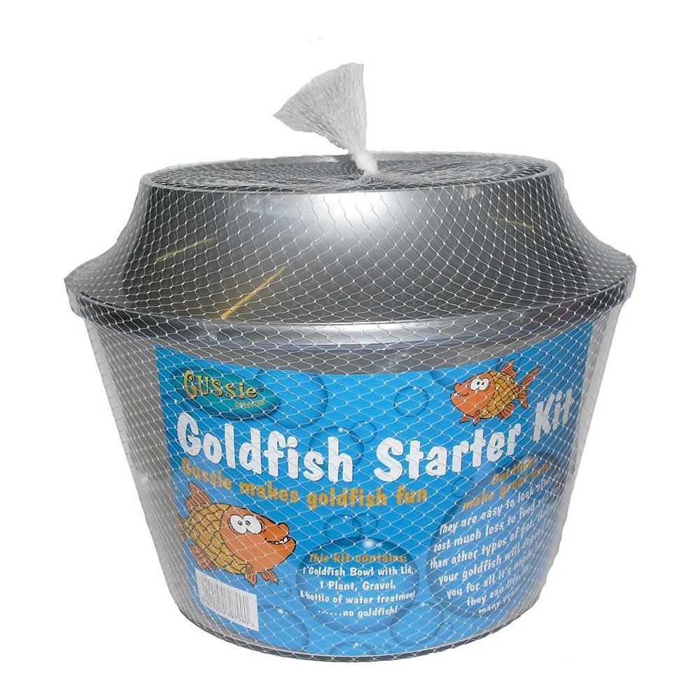 goldfish starter kit