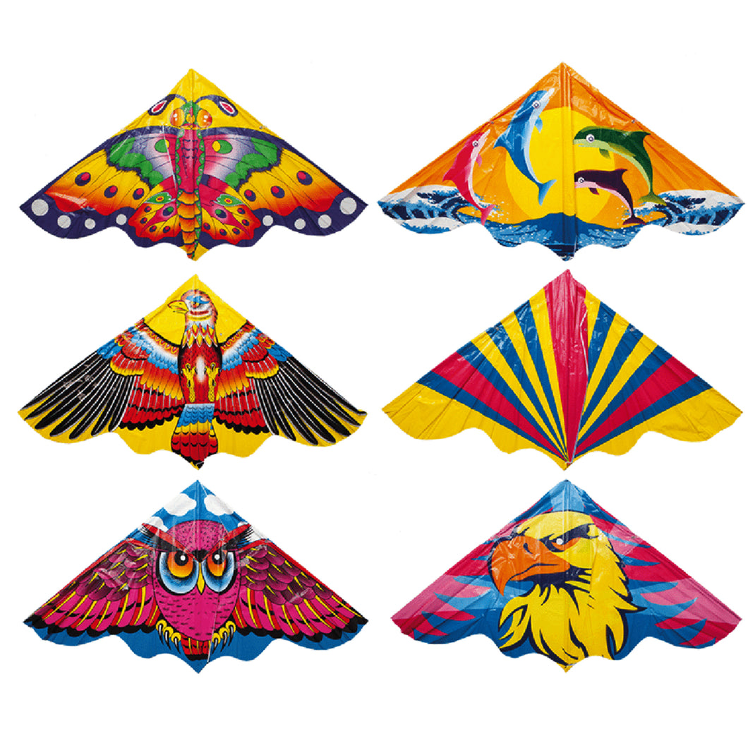 Deluxe Kite With String All Design