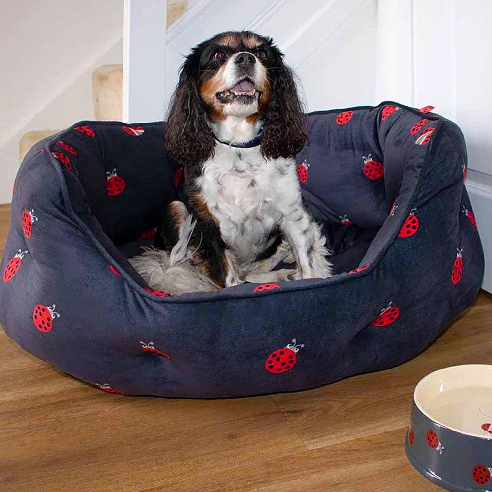Oval Dog Beds Ladybird Design