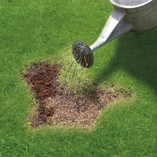 Load image into Gallery viewer, Miracle Gro Patch Magic Grass Seed, Feed &amp; Coir
