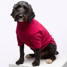 Load image into Gallery viewer, Fleece Dog Jumper
