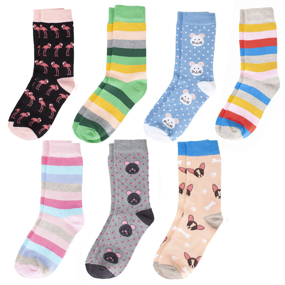 Jolly Socks Assorted Ladies Socks  