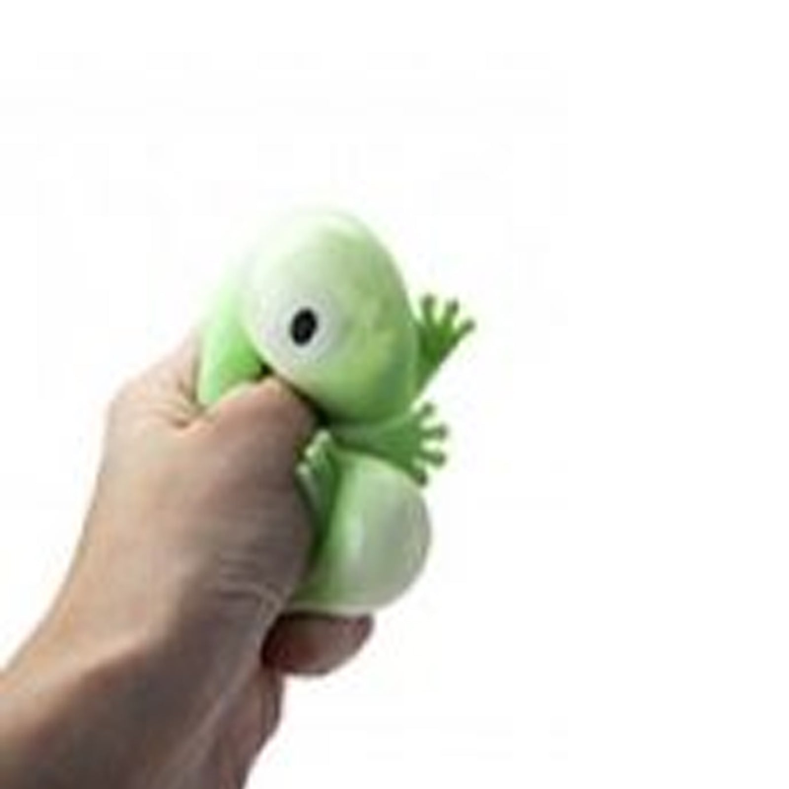 Squishy Frog Toy Assorted