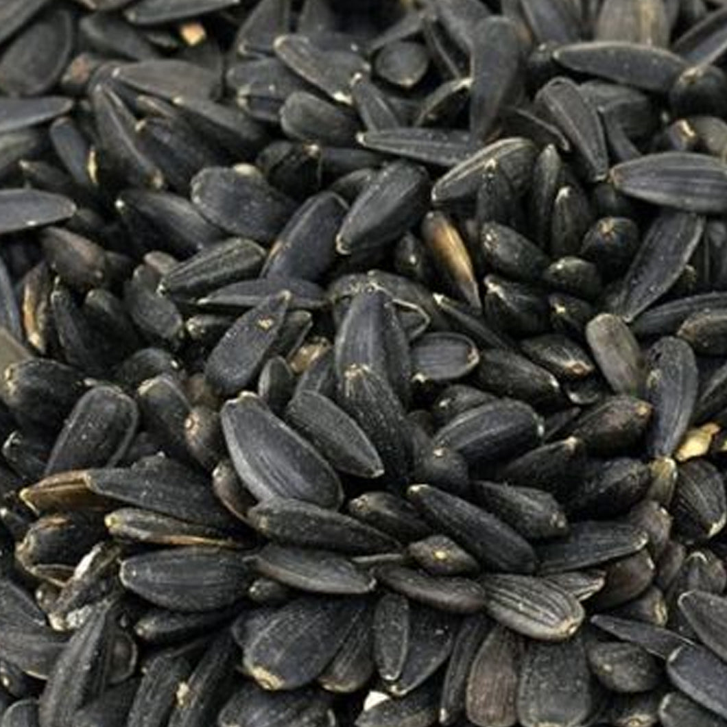 Black Sunflower Seeds 750g